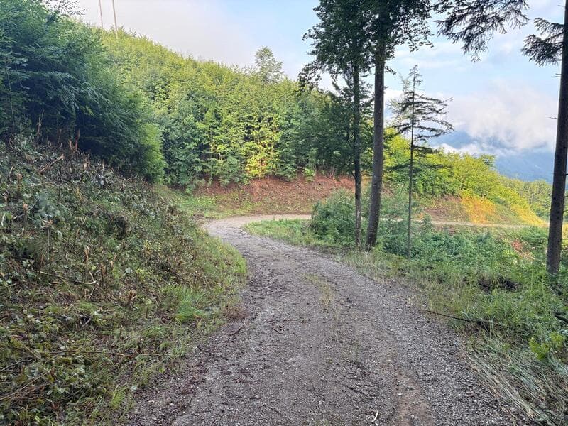 Pöllhuber [object Object]