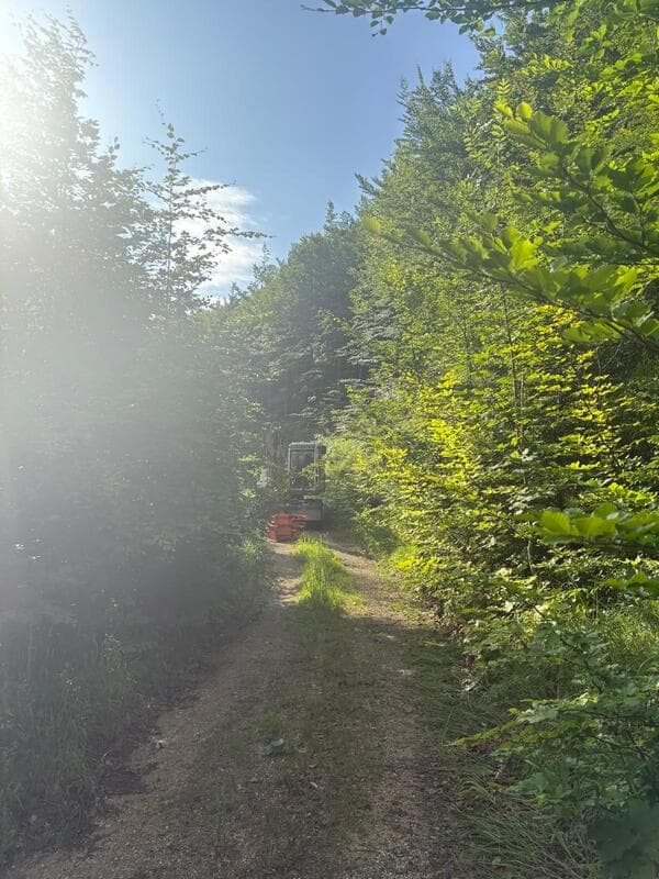 Pöllhuber [object Object]